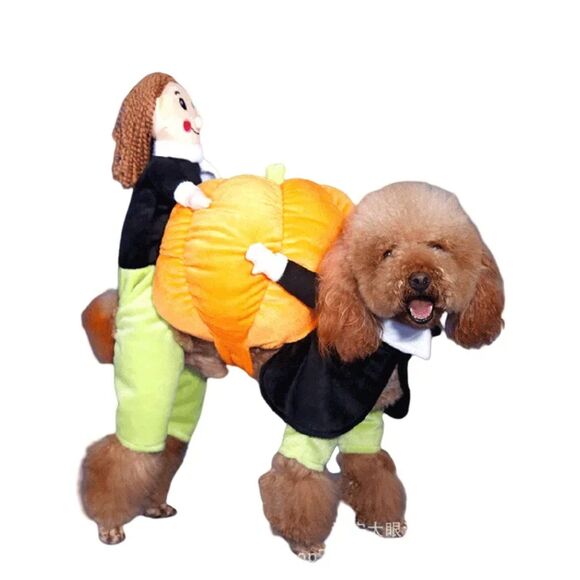 Dog Cat Halloween Costume Premium Pumpkin Funny Costume Small Breed Sz M - Picture 4 of 10
